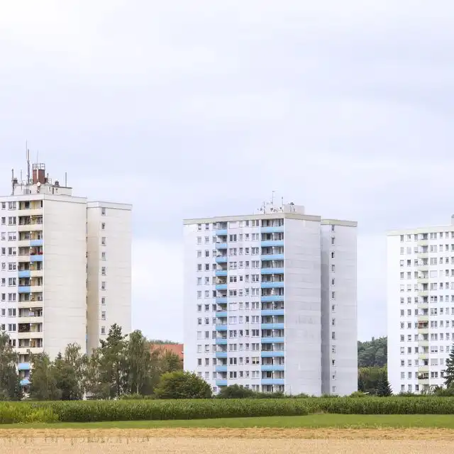 Gebäude-Typen in Neustadt an der Weinstraße Diedesfeld