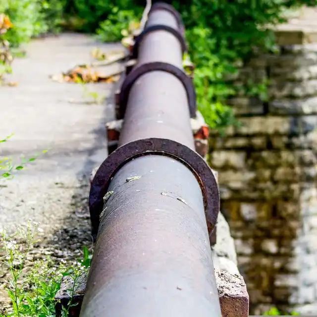 Wasserqualität in Ludwigshafen Süd