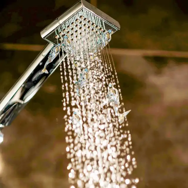 Wasserqualität in Heidelberg Pfaffengrund
