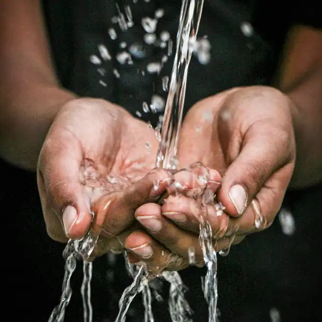 Wasserqualität in Mannheim