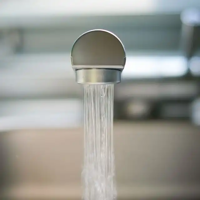 Wasserqualität in Mannheim Schönau