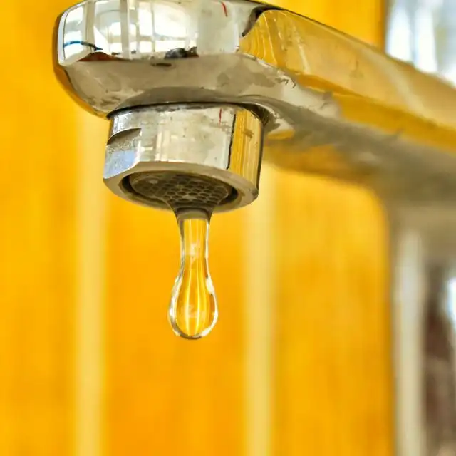 Wasserqualität in Zwingenberg