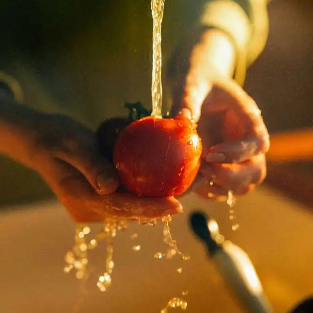 Wasserqualität in Mannheim Feudenheim