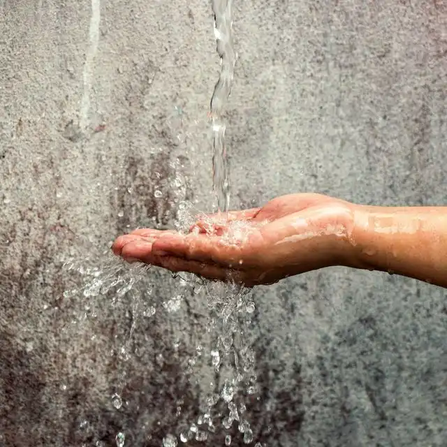 Wasserqualität in Mannheim Handschuhsheim