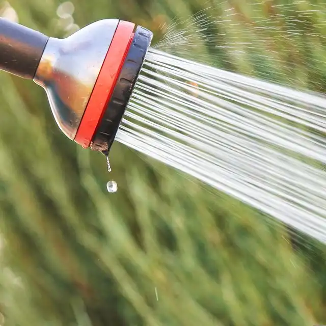 Wasserqualität in Ludwigshafen Gartenstadt